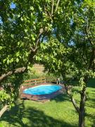 Top Arouca Top Arouca