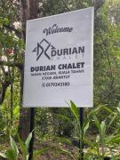 Top Kuala Tahan