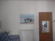 Top San Vincenzo Top San Vincenzo