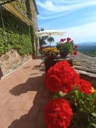 Top Montemassi Top Montemassi