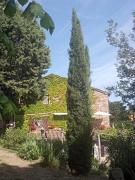 Top Montemassi Top Montemassi