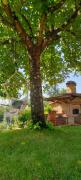 Top Anghiari