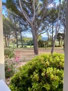 Top Saumane-de-Vaucluse