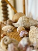 Top Palermo Top Palermo