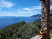 Elmas Houses - Terrace Studio Aliki