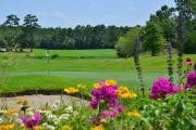 Top Pawleys Island