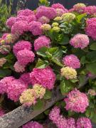 Top Saint-Jacques-de-la-Lande