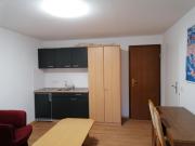 1-Zimmer Apartment mit Einbauküche und Bad