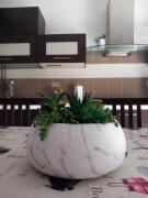 Top Isola delle Femmine Top Isola delle Femmine