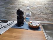 Top Borghetto Santo Spirito