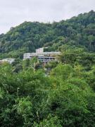 Top Patong Beach