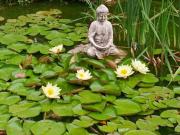 Top Le Controis En Sologne