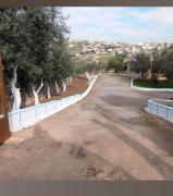 شقه مفروشه للايجار و بيت مزرعة مفروشه للايجار