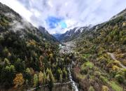 Top Carona Top Carona