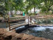 Top Rio Quente