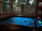 Top Sevierville