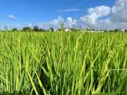 Inashiki - House - Vacation STAY 17001 Inashiki - House - Vacation STAY 17001
