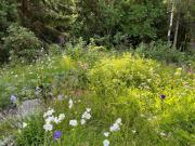 Summer House with Sauna on Beautiful Island