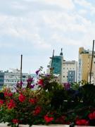 Top Pordenone