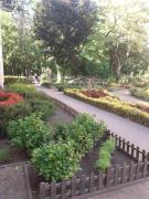 Top Gdańsk Top Gdańsk