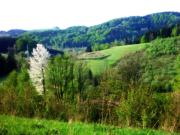 Top Lewin Kłodzki Top Lewin Kłodzki