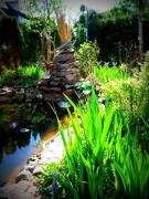 Top Lewin Kłodzki Top Lewin Kłodzki