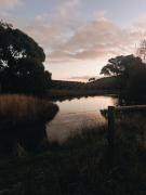 Top McLaren Vale