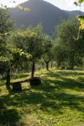 Top Calice al Cornoviglio