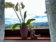 Top Oberreute Top Oberreute