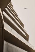 Enso District Residences Enso District Residences
