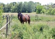 Top Saint-Martin-de-Crau