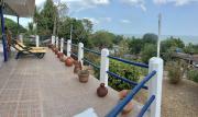 Top Las Palmeras
