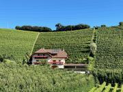 Top Appiano sulla Strada del Vino