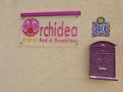 B&B Orchidea