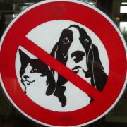 Top Saint-Paul-lès-Dax