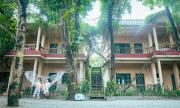 Top Sauraha