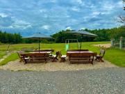 Top Święta Katarzyna