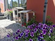 Top Bardinai Top Bardinai