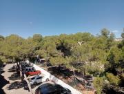 Top Castellón de la Plana