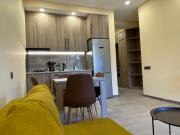 Gonio N301A Beachfront Mountain view apartment