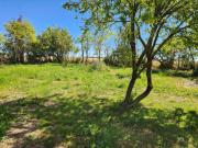 Top Saint-Jean-de-Sauves