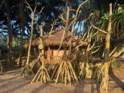 Coconut Beach