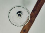 Top Kandyty Top Kandyty