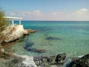 Top Faccia di Trippa Top Faccia di Trippa