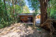 Top Monteverde
