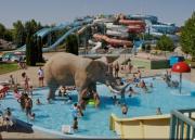 Top Hajdúszoboszló