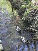 Top LʼIsle-sur-la-Sorgue