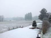 Top Lozzolo Top Lozzolo