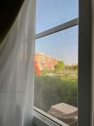 روضة زايد الشيخ زايد