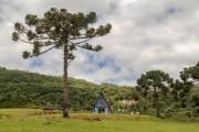 Top Rio Rufino